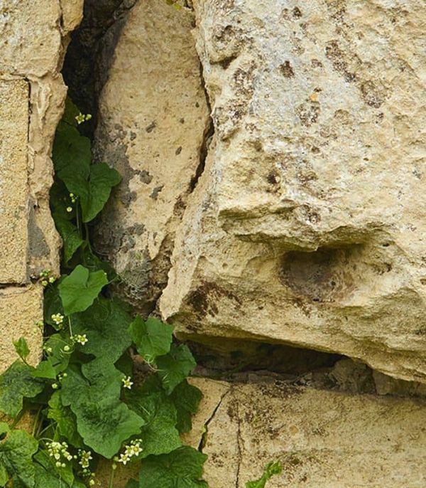Le calcaire sur les terres Canon