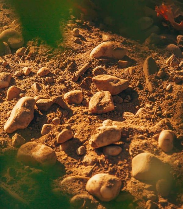 Les terrasses médocaines