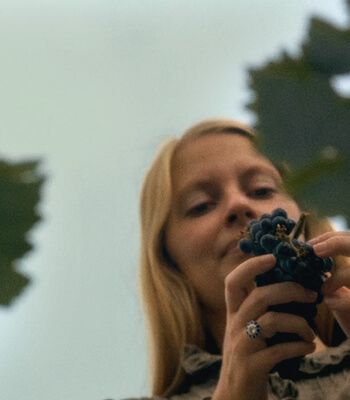 Sentir le raisin
