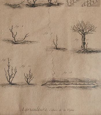 La richesse de l'estuaire rive gauche